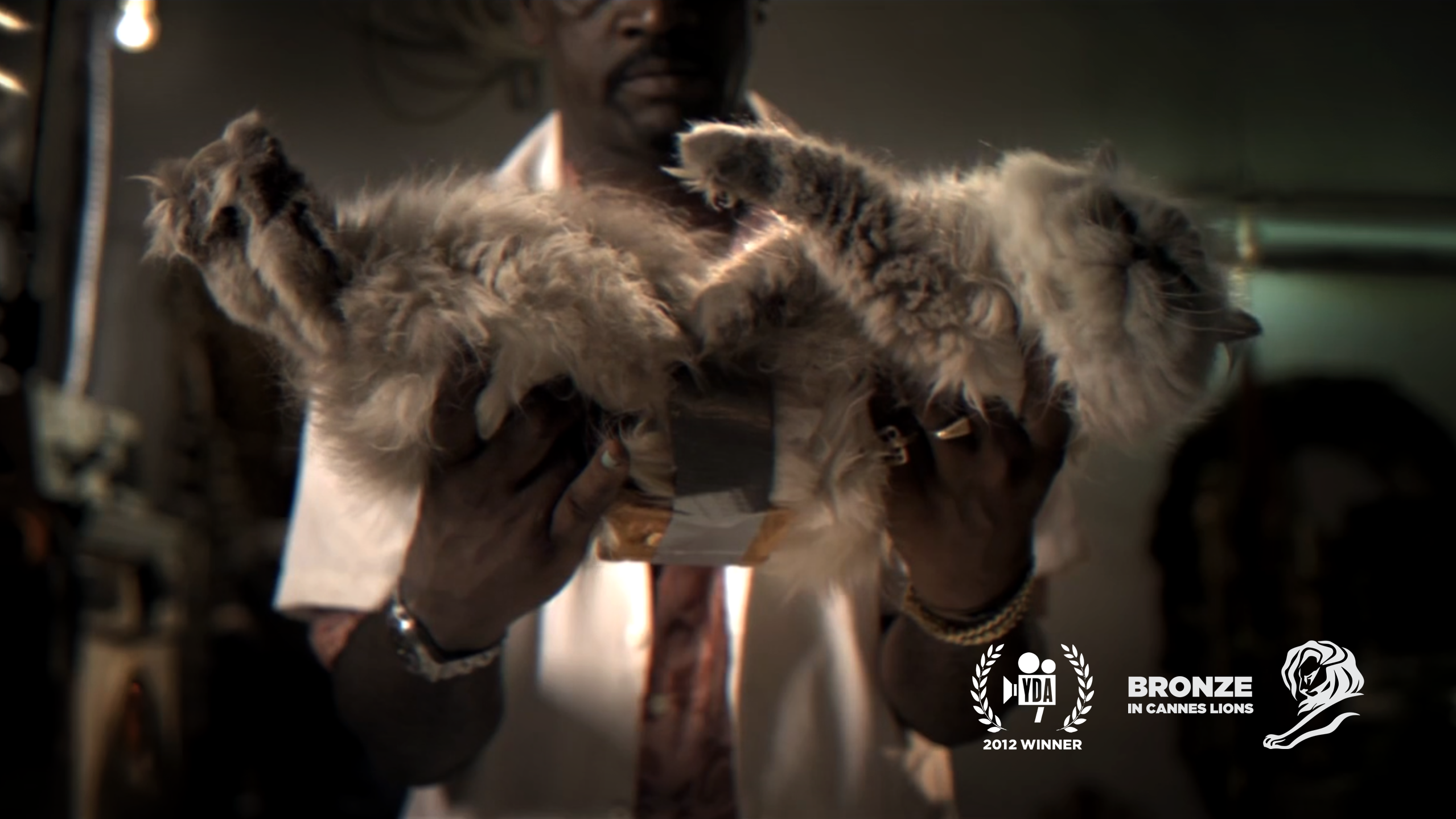 Flying Horse Cat Toast